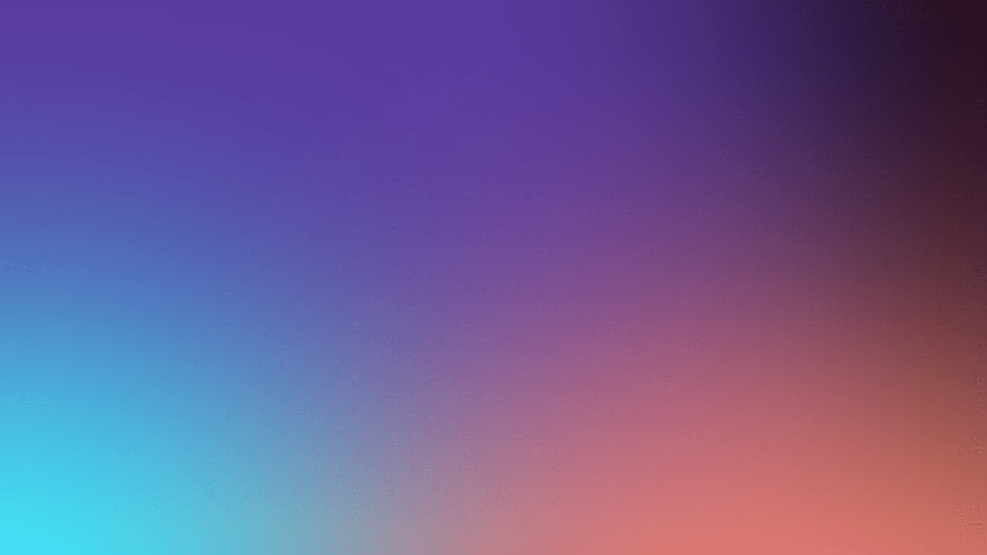 Single Entity and Multi-Company in One Platform